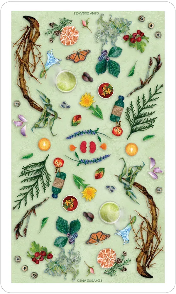 The Herbcrafter’s Tarot Deck - Image 11
