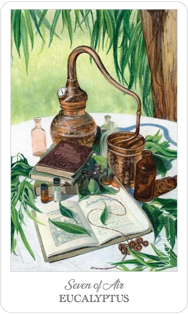 The Herbcrafter’s Tarot Deck - Image 4