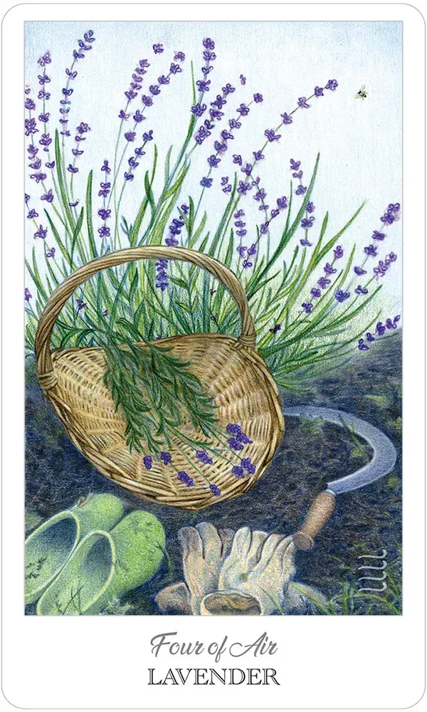 The Herbcrafter’s Tarot Deck - Image 5