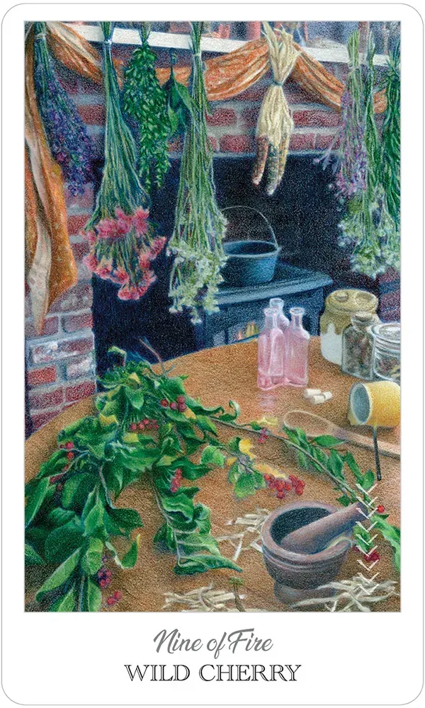 The Herbcrafter’s Tarot Deck - Image 8