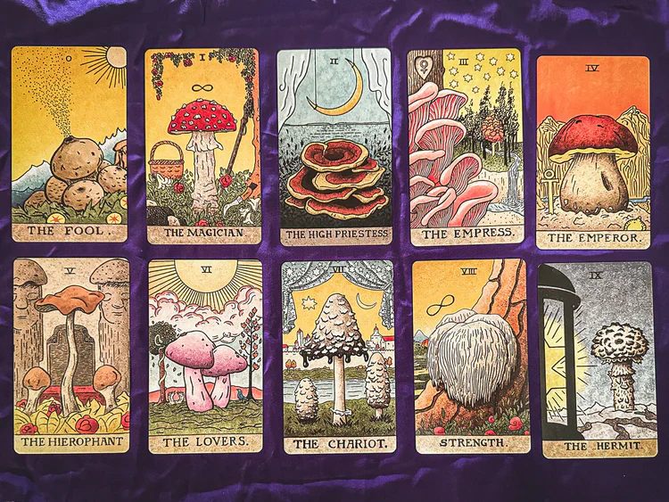 The Mushroom Hunter’s Arcanum - Gold Gilded, Fungi-Themed Tarot Deck - Image 7
