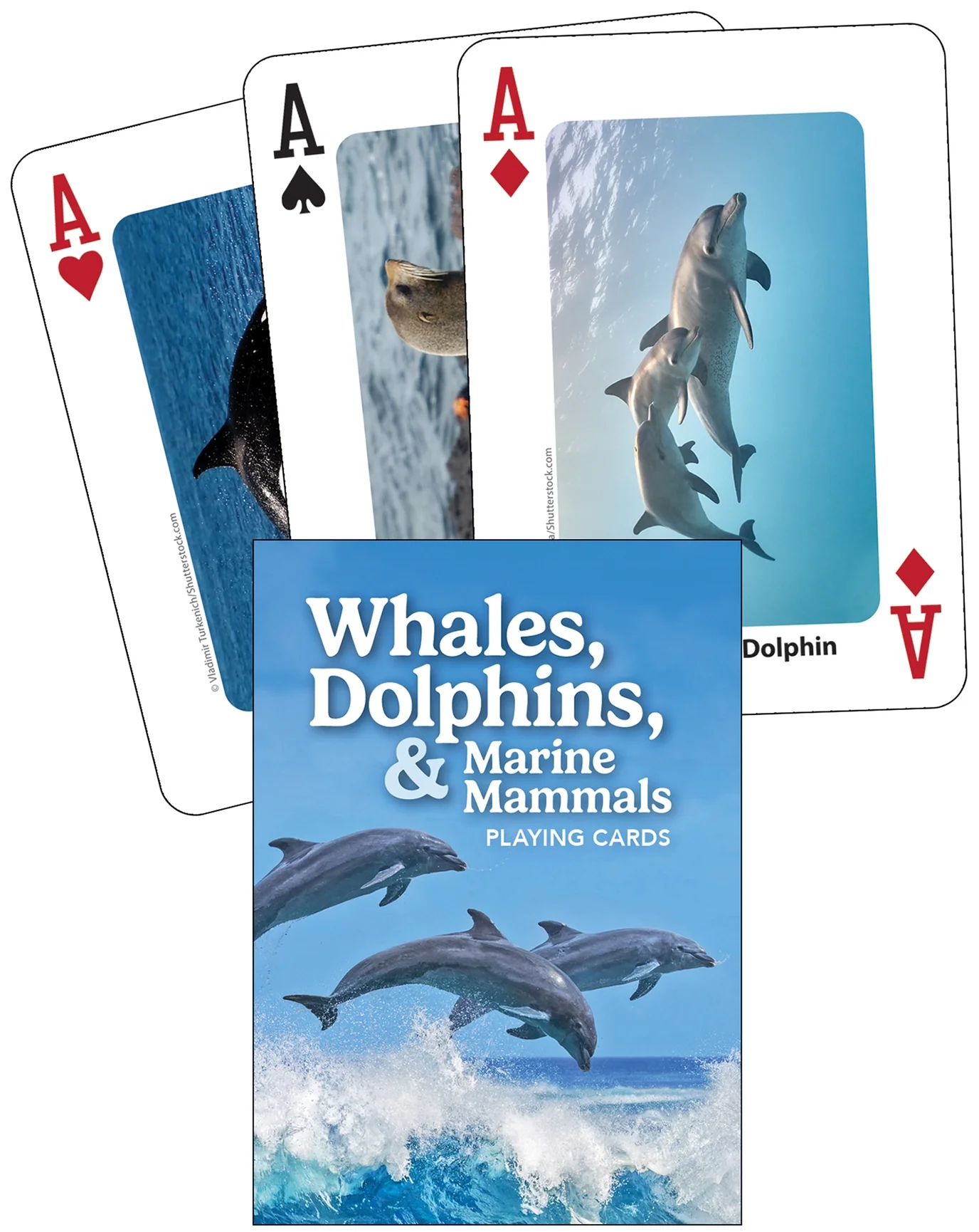 Whales, Dolphins, and Marine Mammals Playing Cards - Image 2