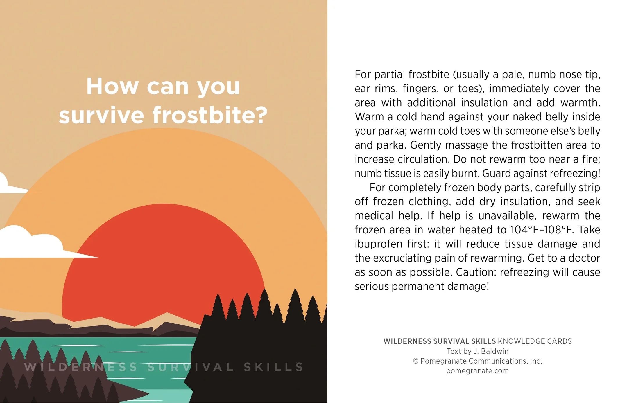 Wilderness Survival Skills Knowledge Cards - Image 3